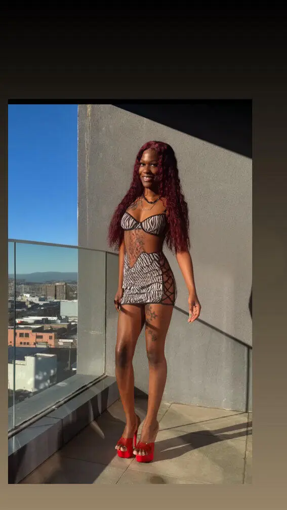 Escort Model Vixenstar - 2